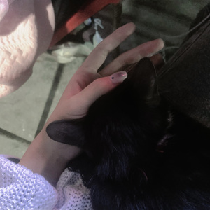 写给我第一个喜欢的女孩的歌