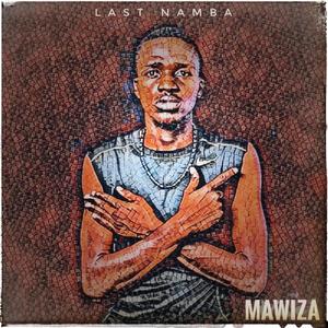 Amaqhude (feat. Msiz-kay)