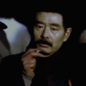 从来如此，便对么