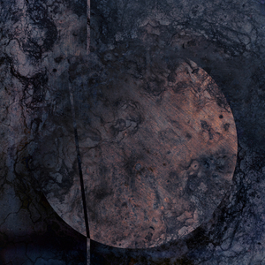 Restricted (Delusional Circuits Interpretation)