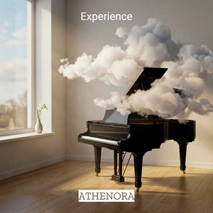 Experience