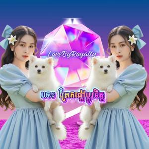 ព្រែកផ្ដៅប្តូរចិត្ត