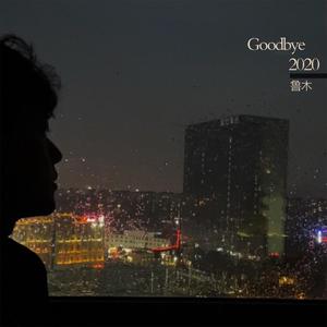 再见2020年