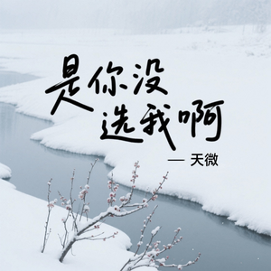 是你没选我啊（伤感版）