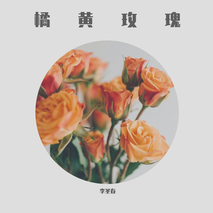 橘黄玫瑰 伴奏