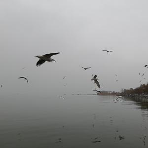 M.R.Y麦尔彦-风的季节 (抖音DJ版)（M.R.Y麦尔彦 remix）