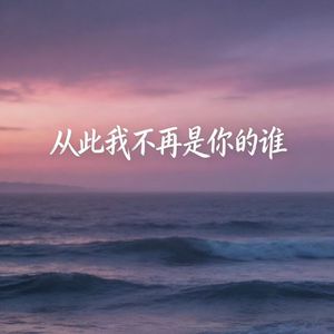 从此我不再是你的谁(伴奏)