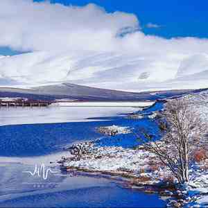 一寸相思 (催眠曲)