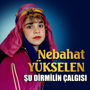 ŞU DİRMİLİN ÇALGISI