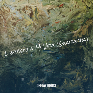 Llegaste a Mi Vida (Guaracha)