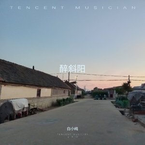 醉斜阳
