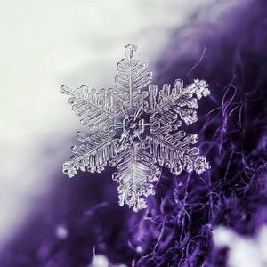 Froggy-Froggy-武汉刚刚下雪了 你看见了吗（vibeboi REMIX）（vibeboi remix）