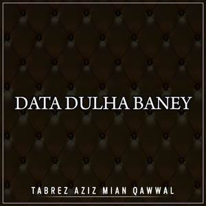 Nahi Hai Koi Bhi Insan