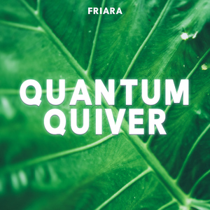 Quantum Quiver