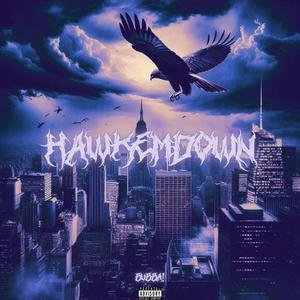 HawkEmDown