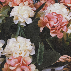 花意知（prod by FRESH_ye）