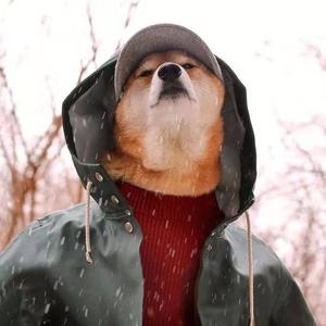 百年不合-（翻唱）