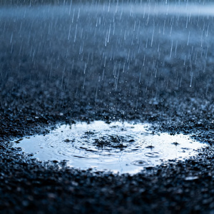风雨落尽花也凉