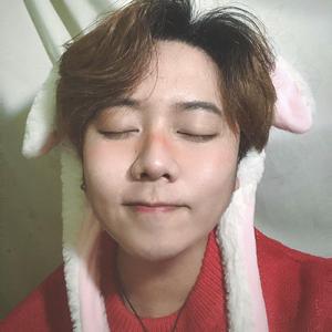 杨花落尽子规啼