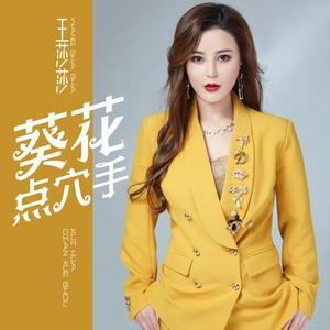 葵花点穴手 - DJ何鹏版伴奏