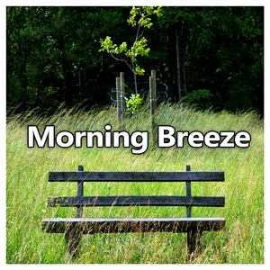 Morning Breeze