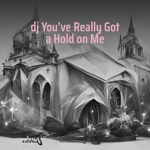 Dj You’ve Really Got a Hold on Me
