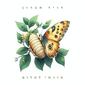 חזרתי לחלום