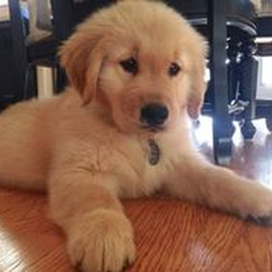 Acróstico (sped up)