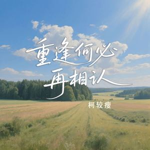 重逢何必再相认