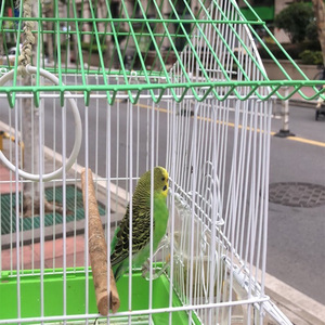 被生活打败的日子