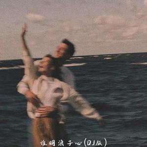 谁明浪子心 (DJ版)