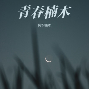 无惧前行的冒险