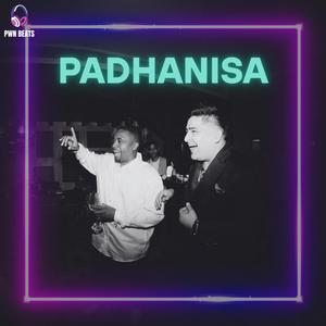 Padhanisa