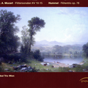Violin Sonata No. 5 in B-Flat Major, K. 10 (version for flute, cello and keyboard): II. Andante