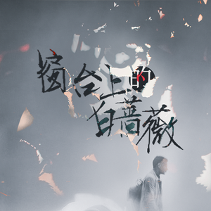 窗台上的白蔷薇