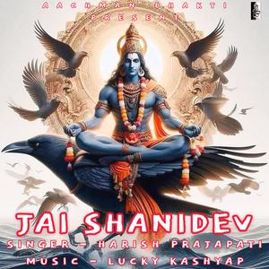 Om San Shanicharaya Namah