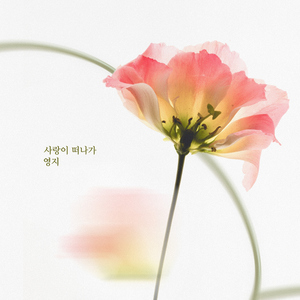 사랑이 날 떠나가