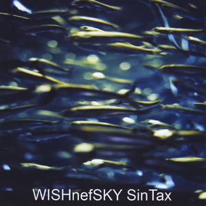The Sin Tax