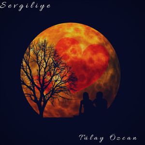 Fikrimin İnce Gülü