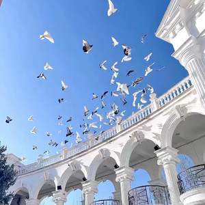 他和她（demo版）