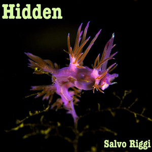 Hidden