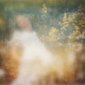 WLD FLWR