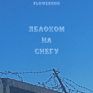 Яблоком на снегу