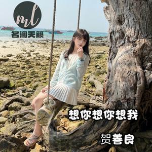 想你想你想我（歆芮瑶温柔鼓咚少女dj版）