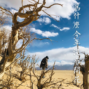 为什么今年没有开花