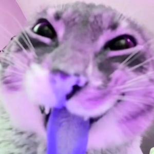 2die4 (feat. lungskull)