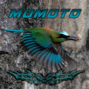 MOMOTO