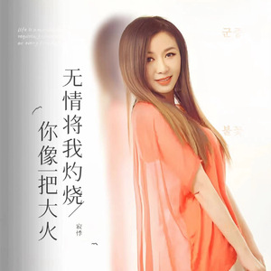你像一把大火无情将我灼烧