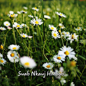 Tsi tau koj lawm tiag