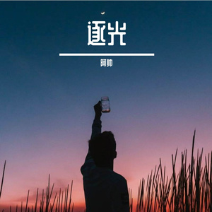 逐光